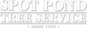 Spot Pond Tree Service, Inc.
